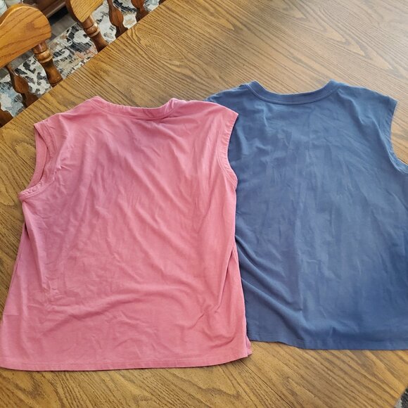 Freely-set of 2-sleeveless v neck tops- Sz large - Picture 4 of 6